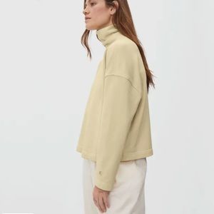Everlane Turtleneck Sweatshirt